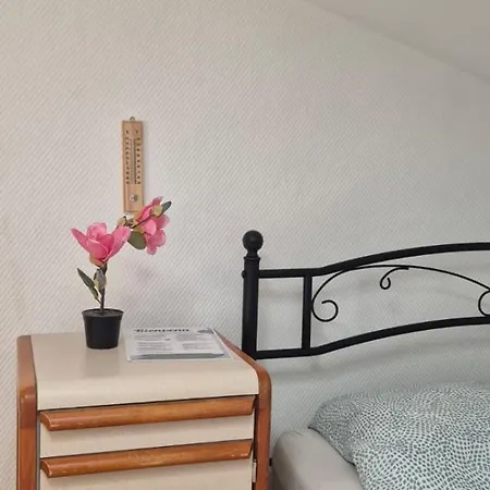 Jolie Privee Centre-ville Hostel *